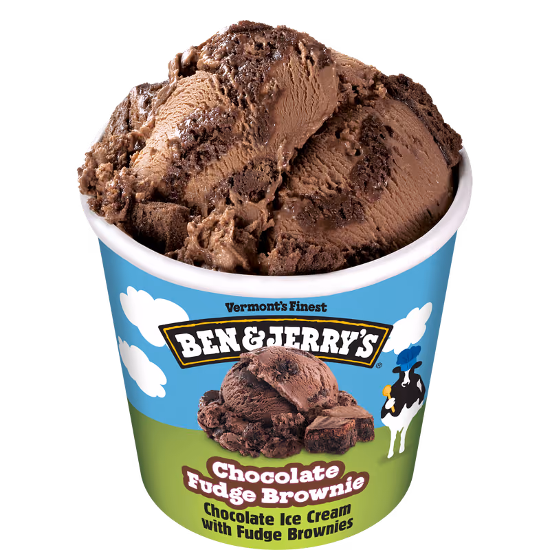 Chocolate Fudge Brownie